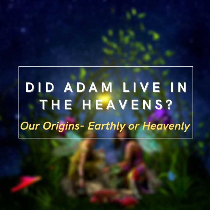 Adam in the heavens
