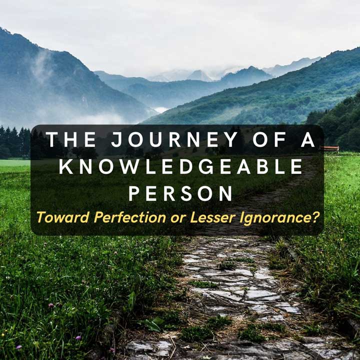 Journey toward knowledge