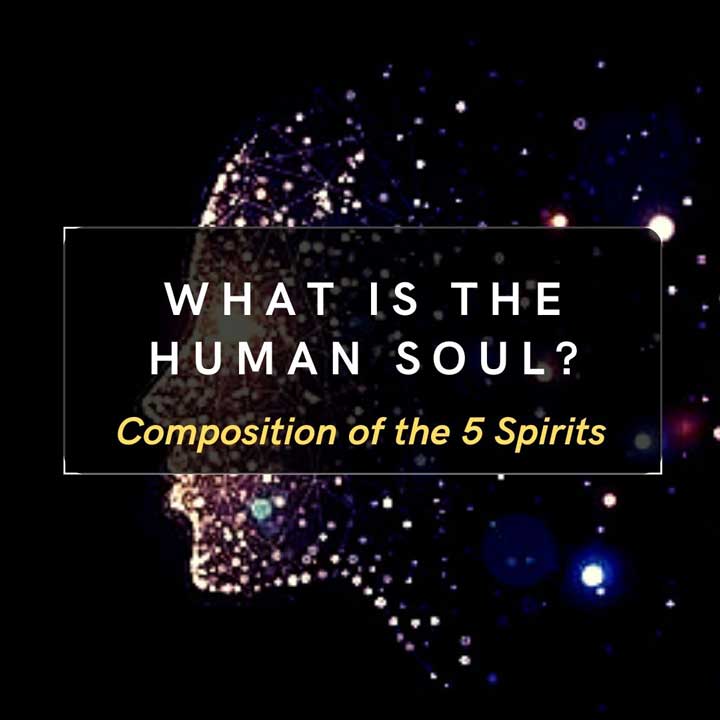 What-is-human-soul